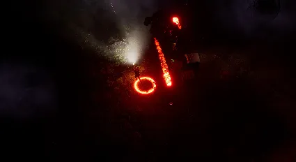 Swarm Survivor 💎 АВТОДОСТАВКА STEAM GIFT РОССИЯ