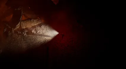 Swarm Survivor 💎 АВТОДОСТАВКА STEAM GIFT РОССИЯ