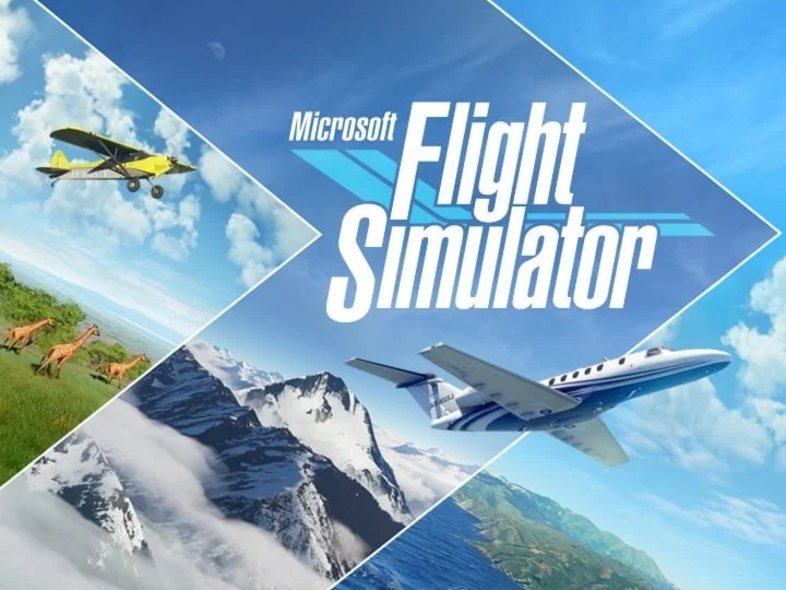 MICROSOFT FLIGHT SIMULATOR (PC) + GAME PASS ДО 30.08.20