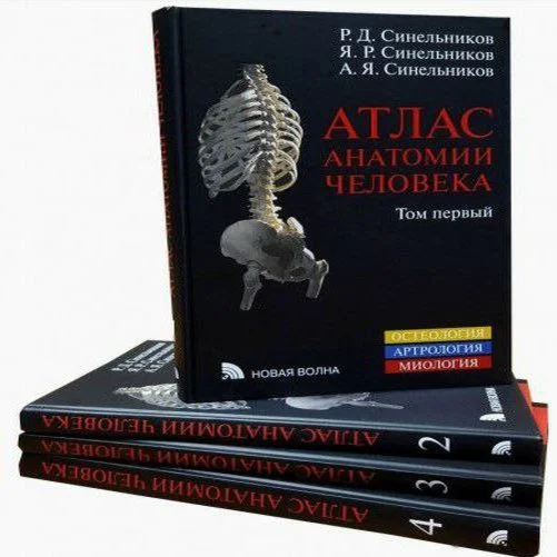 Синельников: Атлас анатомии человека. В 4-х томах