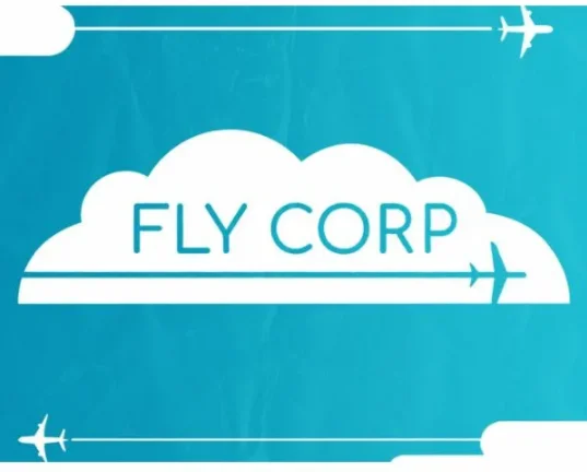 Fly Corp ️STEAM Аккаунт