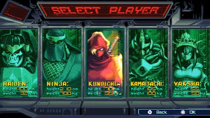 The Ninja Saviors: Return of the Warriors - STEAM RU