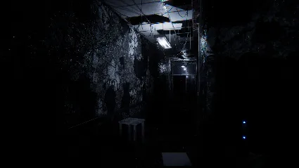 Sorrow Asylum 💎 АВТОДОСТАВКА STEAM GIFT РОССИЯ