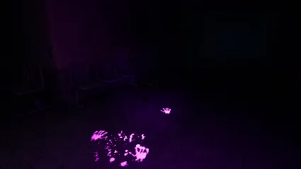 The haunted hospice 💎 АВТОДОСТАВКА STEAM GIFT РОССИЯ