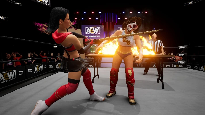 AEW Fight Forever (steam key)