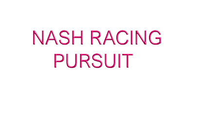 🔥 Nash Racing: Pursuit | Steam РУ+UA+KZ+СНГ 🔥