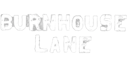 🔥 Burnhouse Lane | Steam РУ+UA+KZ+СНГ 🔥