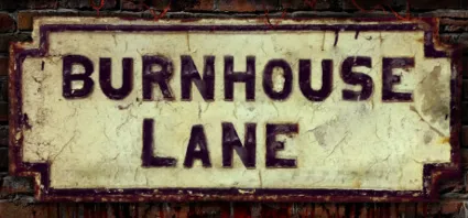 🔥 Burnhouse Lane | Steam РУ+UA+KZ+СНГ 🔥