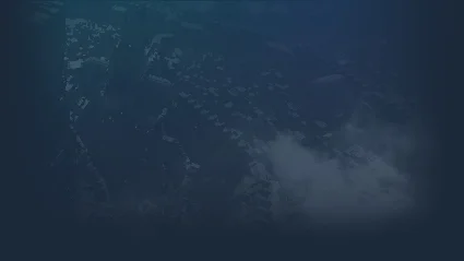 🔥 彗星战团 | Steam РУ+UA+KZ+СНГ 🔥