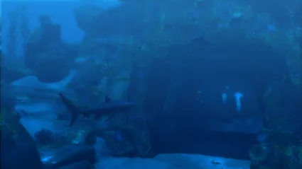 Tomb Raider: Underworld STEAM•RU ⚡ ️АВТОДОСТАВКА 💳 0%