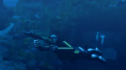 Tomb Raider: Underworld STEAM•RU ⚡ ️АВТОДОСТАВКА 💳 0%