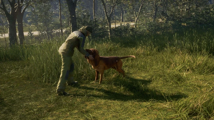 ✅❤️THEHUNTER: CALL OF THE WILD™ - BLOODHOUND❤️XBOX🔑KEY