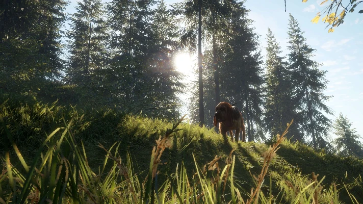 ✅❤️THEHUNTER: CALL OF THE WILD™ - BLOODHOUND❤️XBOX🔑KEY