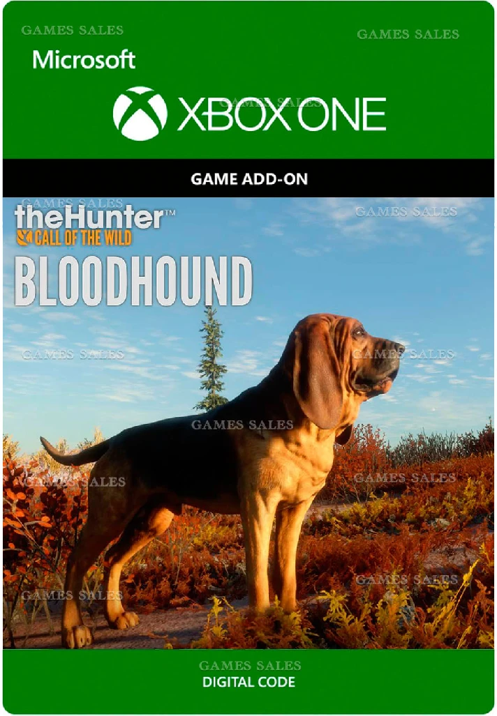 ✅❤️THEHUNTER: CALL OF THE WILD™ - BLOODHOUND❤️XBOX🔑KEY