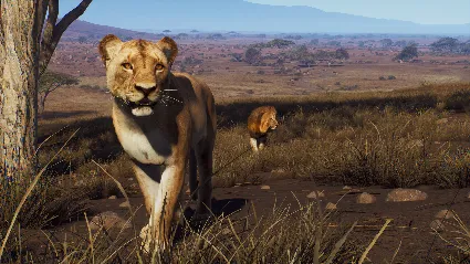 Way of the Hunter - Tikamoon Plains DLC STEAM РОССИЯ