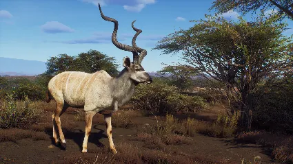 Way of the Hunter - Tikamoon Plains DLC STEAM РОССИЯ