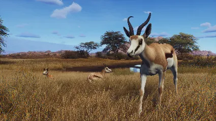 Way of the Hunter - Tikamoon Plains DLC STEAM РОССИЯ