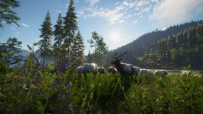 THEHUNTER CALL OF THE WILD - SILVER RIDGE PEAKS🔑XBOX