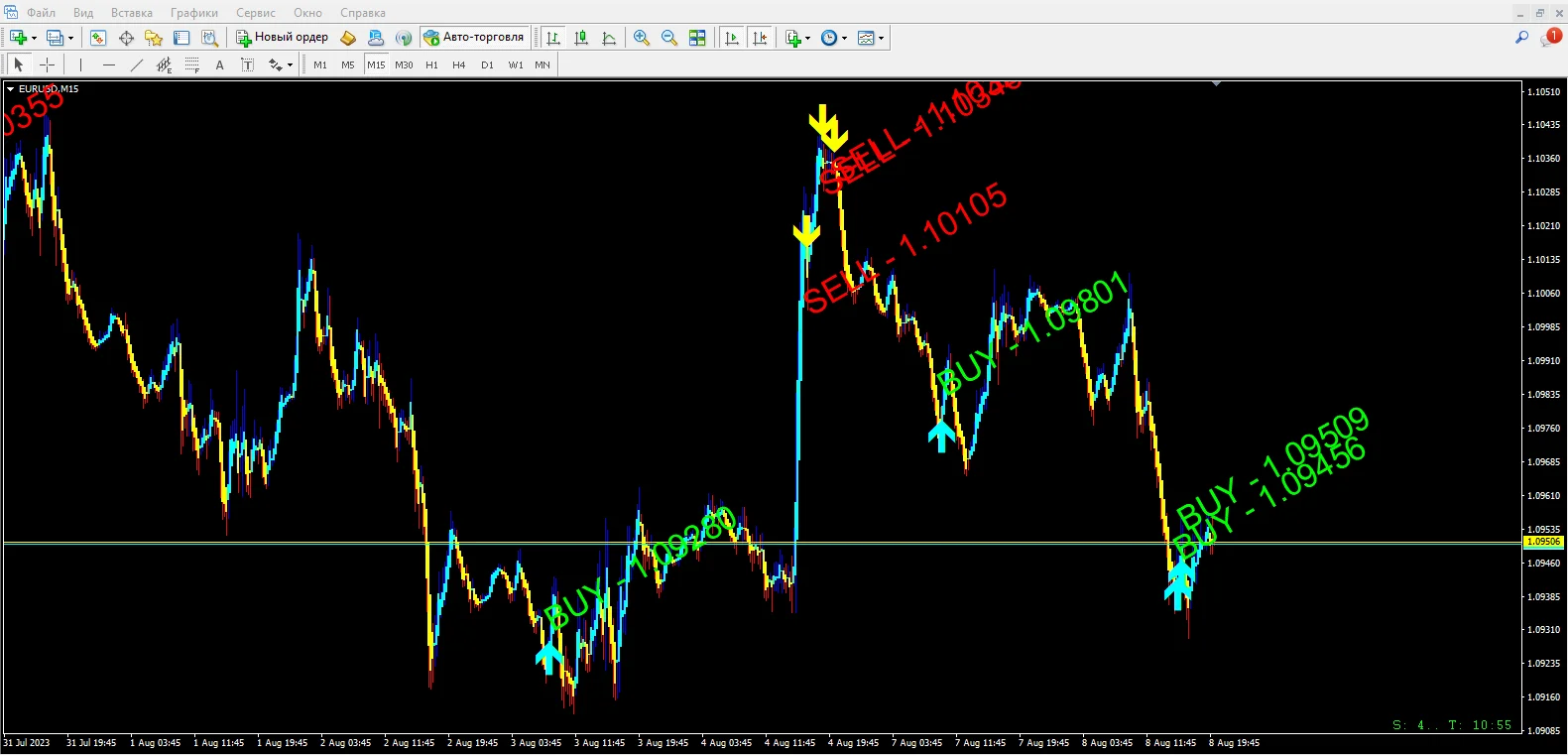Forex ZUBR
