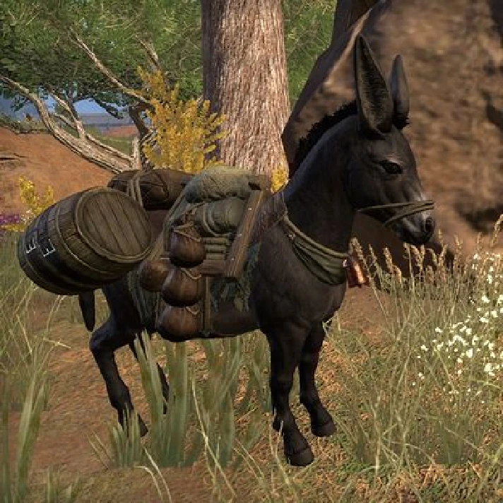 TESO Elder Scrolls Online Non-combat pets EU US