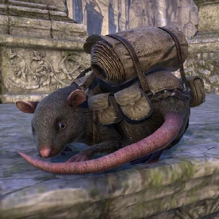 TESO Elder Scrolls Online Non-combat pets EU US