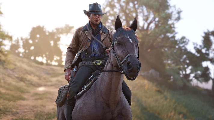 RED DEAD REDEMPTION 2: STORY MODE AND ULTIMATE EDITION