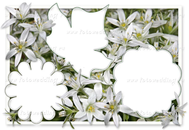 Рамка - Эдельвейс