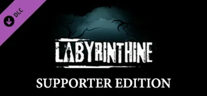 Labyrinthine Supporter Edition 💎 DLC STEAM GIFT РОССИЯ