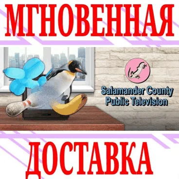 Salamander County Public Television ⭐Steam\РФ+Мир\Key⭐