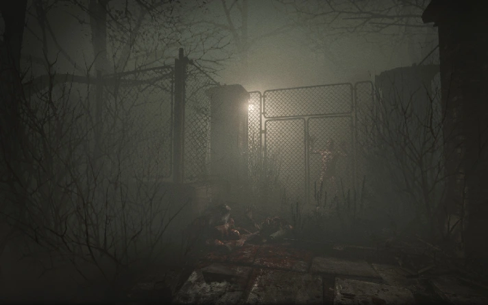 Outlast: Whistleblower DLC * STEAM RU ⚡ AUTO 💳0%