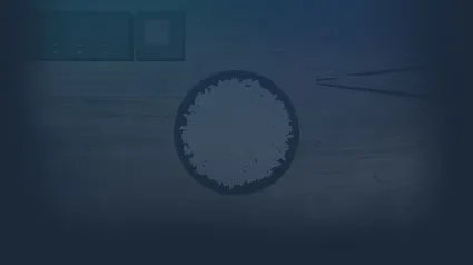 🔥 かぞえ飯 | Steam РУ+UA+KZ+СНГ 🔥