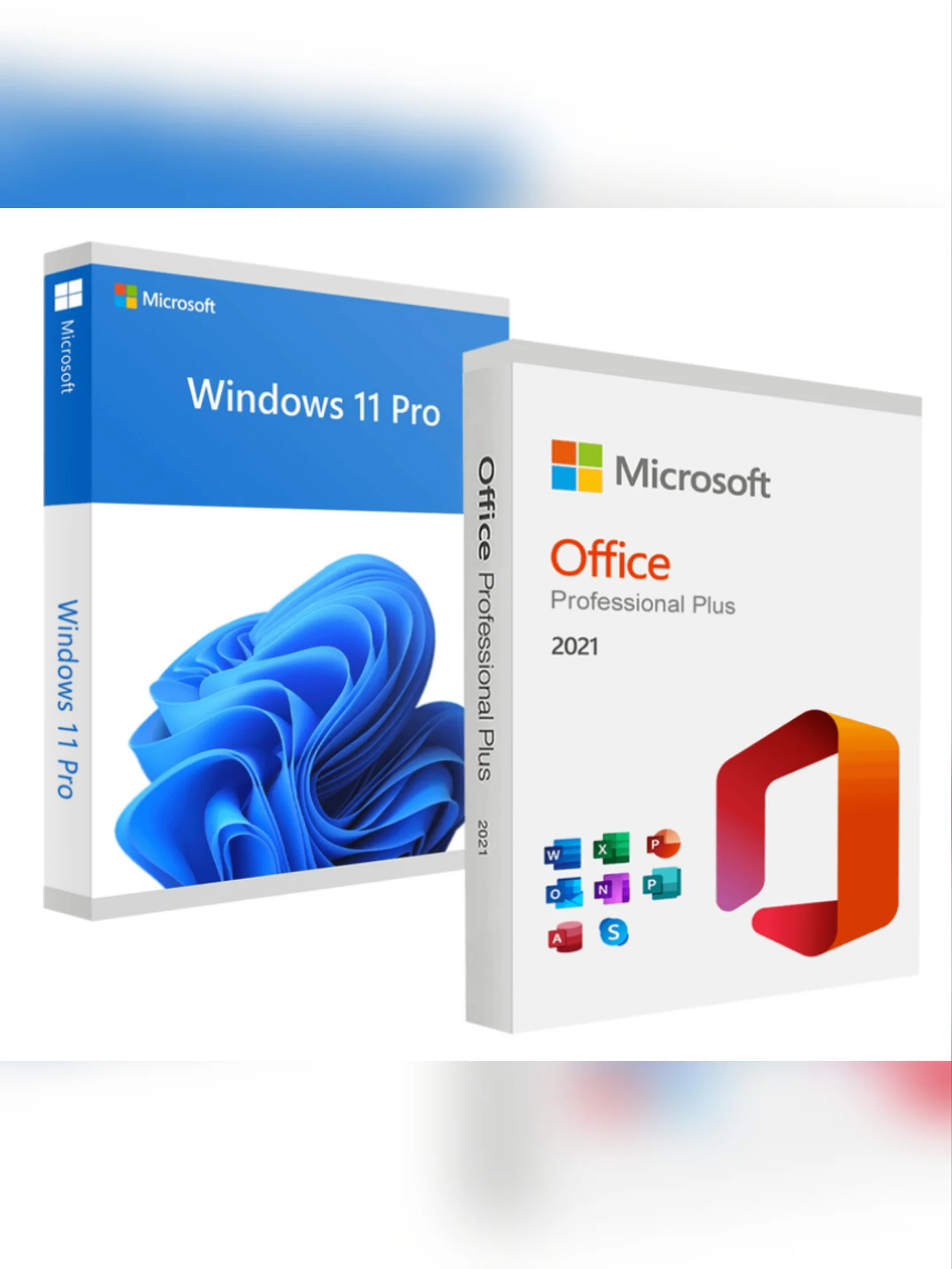 Windows 11 Pro + Microsoft Office 2021 Pro Plus