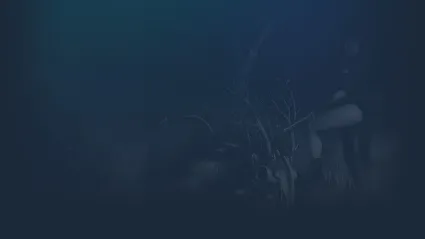 🔥 Blood West | Steam РУ+UA+KZ+СНГ 🔥