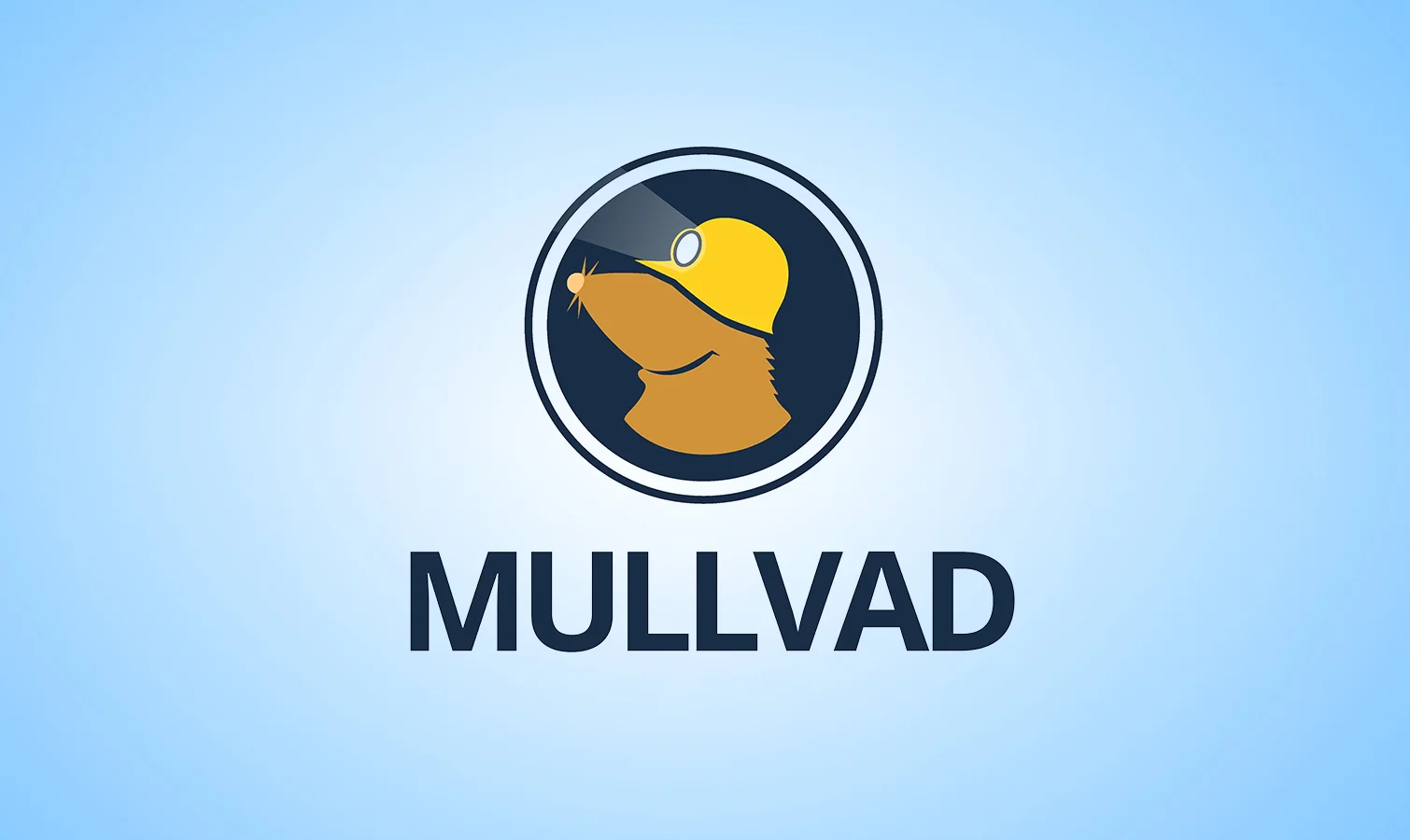 🛡️MULLVAD МУЛЛВАД🕷 ВАУЧЕР 1/6/12 месяцев🕷