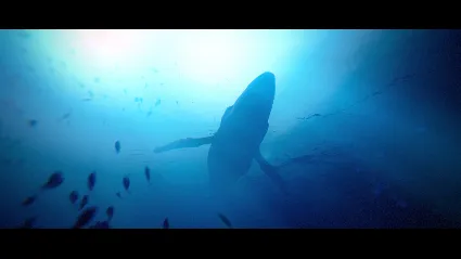 Under The Waves Xbox One  Xbox Series X|S