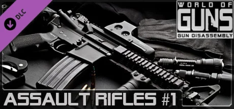 World of Guns: Assault Rifles Pack #1  DLC STEAM GIFT