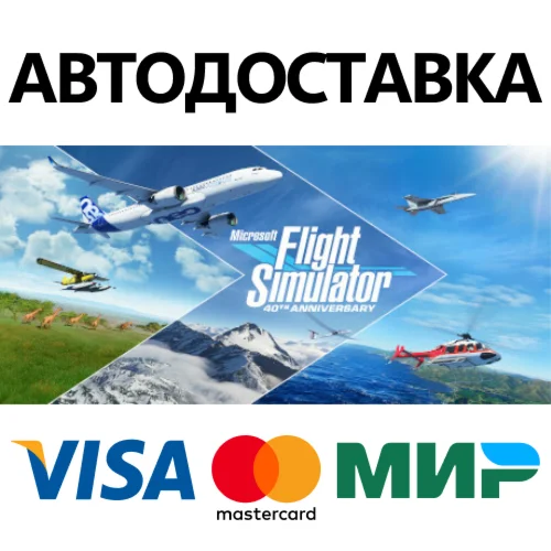 Microsoft Flight Simulator: 40th Anniversary Standard