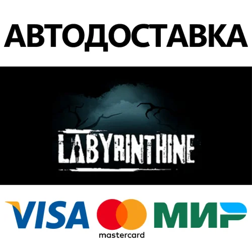 Labyrinthine * STEAM РОССИЯ  АВТОДОСТАВКА 0% КАРТЫ