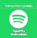 1/3/6/12 МЕСЯЦЕВ SPOTIFY PREMI — фото 3