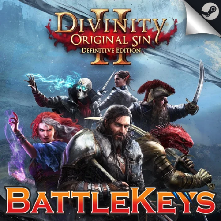 ✅Divinity: Original Sin 2 ⚡AUTO 24/7 ⭐️STEAM RU 💳0%