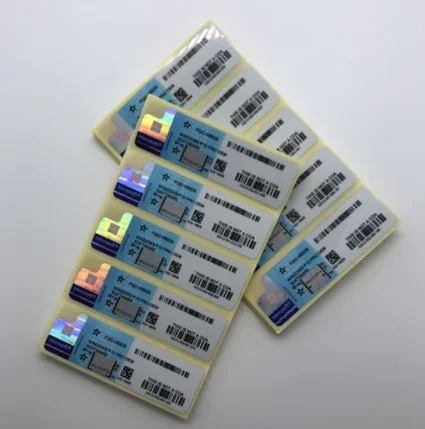 Office 2021 Home and Business For Mac ⚡ Binding Онлайн