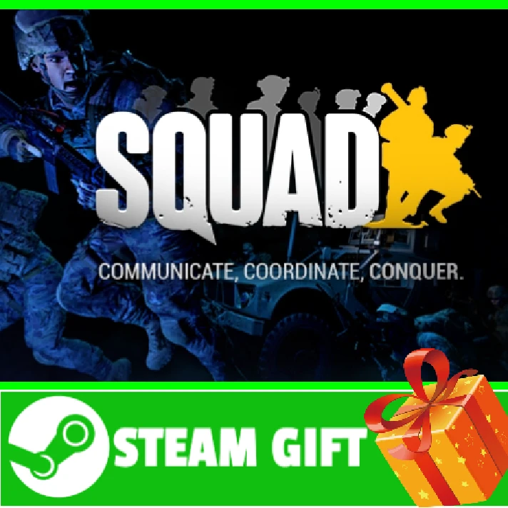 ⭐️ All REGIONS⭐️ Squad Steam Gift