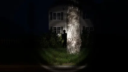 DON'T LOOK AWAY 💎 АВТОДОСТАВКА STEAM GIFT РОССИЯ