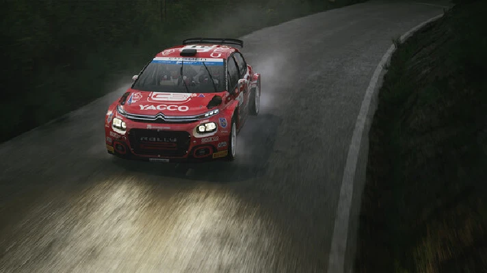 ⚡️Steam Russia - WRC 24 Standard Edition | AUTODELIVERY