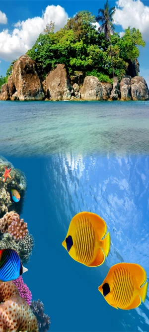 Фото для наклеивания на дверь №А9