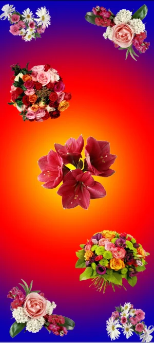 Фото для наклеивания на дверное полотно №А13