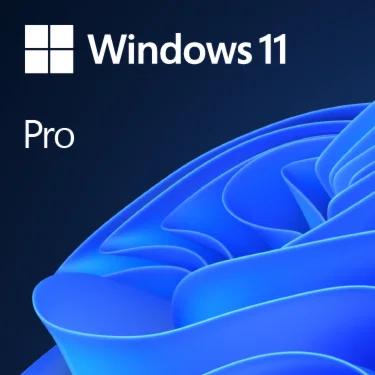 WINDOWS 10/11 PRO ГАРАНТИЯ