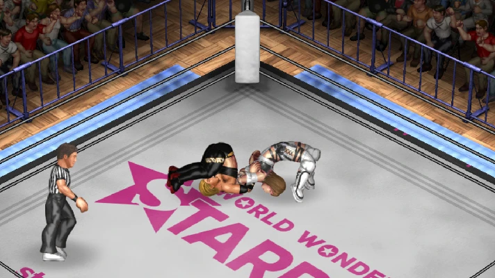 Fire Pro Wrestling World - World Wonder Ring Stardom Co