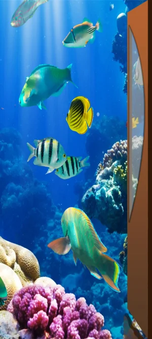 Фото для наклеивания на дверное полотно №R1