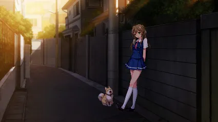 Nanairo Reincarnation 💎 АВТОДОСТАВКА STEAM GIFT РОССИЯ
